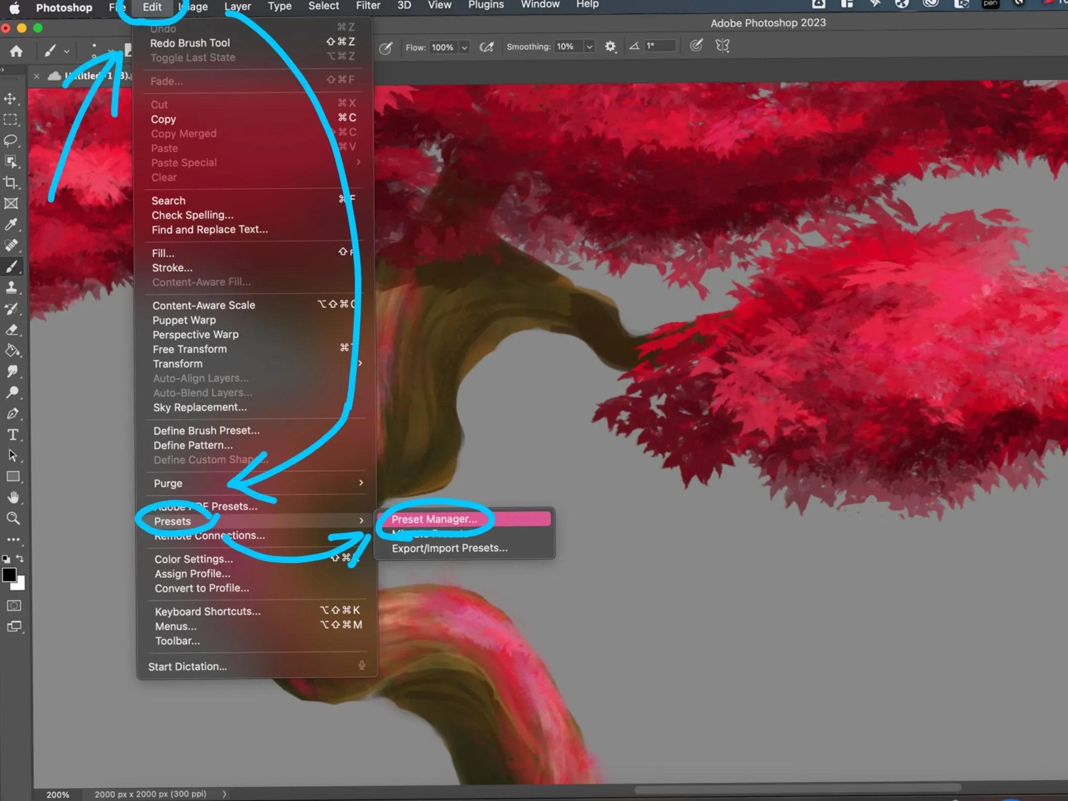Photoshop Preset Manager open with the Load button selected to import a custom ABR brush set